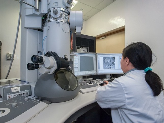 Untitled design (46)